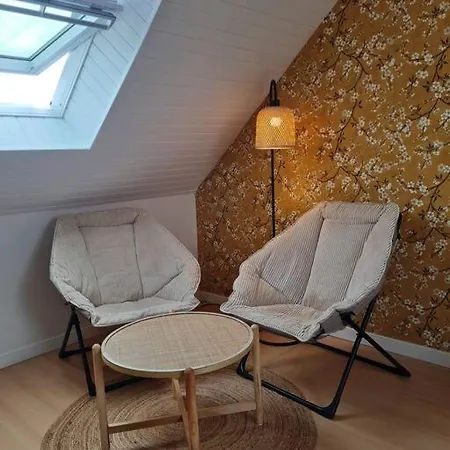 Duplex Centre Ville-bord De Mer *